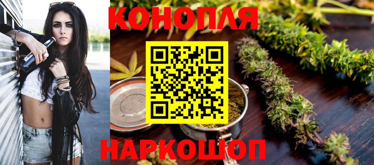 Каннабис сатива Дербент